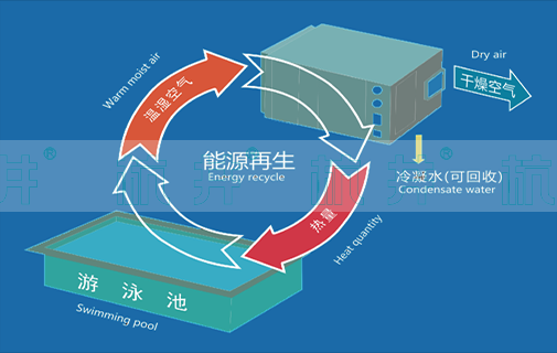 泳池除湿机厂家