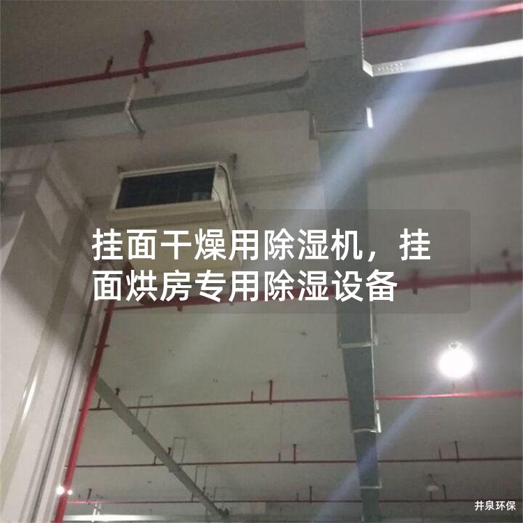 挂面干燥用除湿机，挂面烘房专用除湿设备