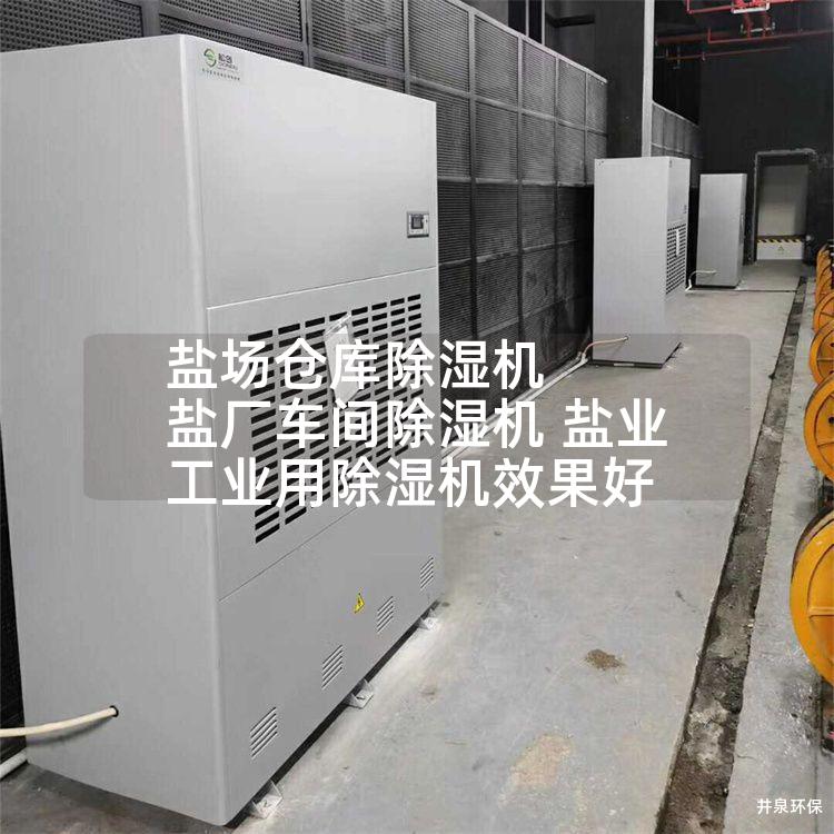 盐场仓库除湿机 盐厂车间除湿机 盐业工业用除湿机效果好