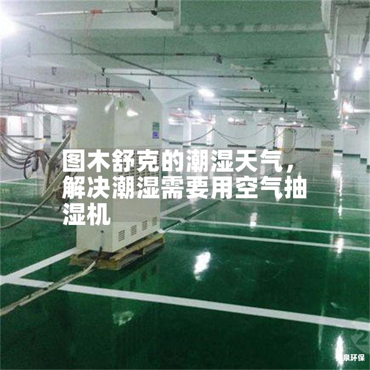 图木舒克的潮湿天气，解决潮湿需要用空气抽湿机