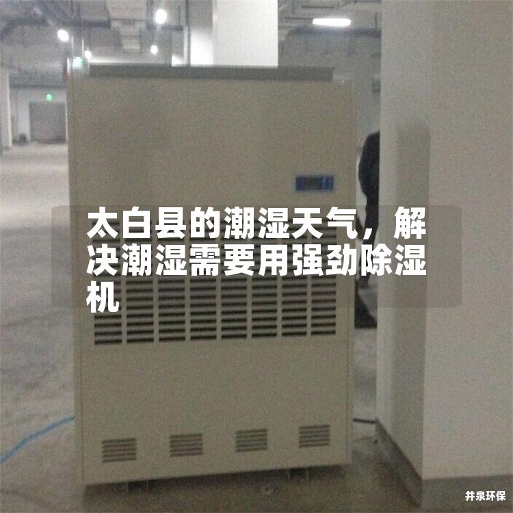 太白縣的潮濕天氣，解決潮濕需要用強勁除濕機