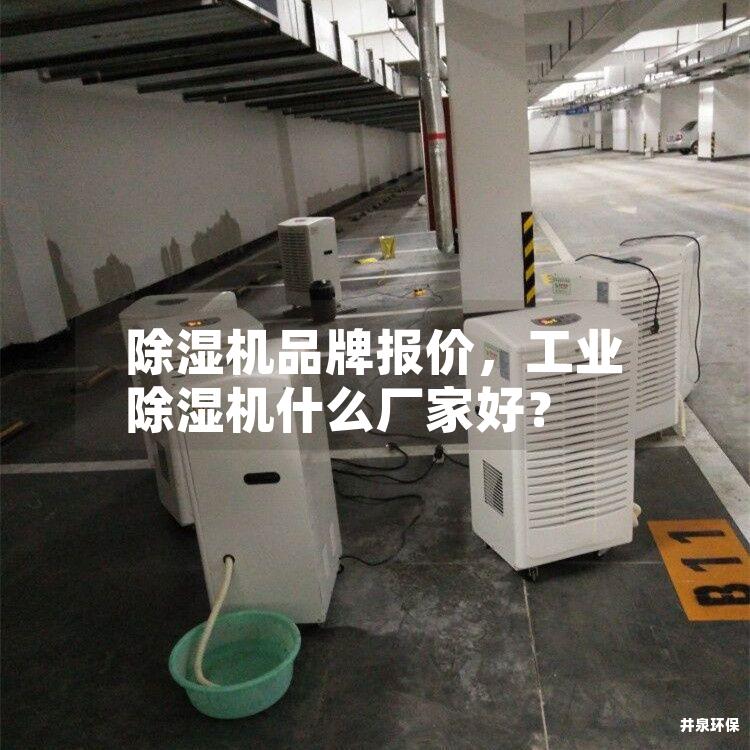 除湿机品牌报价，工业除湿机什么厂家好？